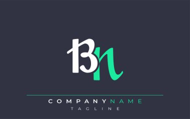 Zarif BN Harflendirme Tasarımı. Beyaz ve Teal Gölgeli Monogram Harfleri içeren Modern Logo