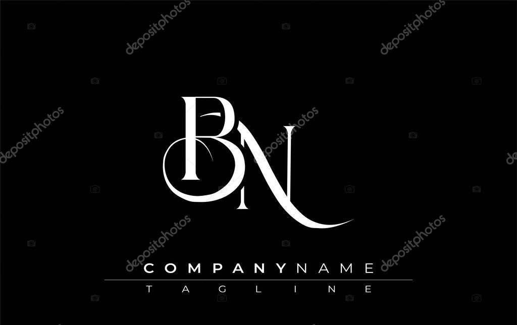 Initial BN Logo Design Vector. Elegant Monogram Logo Design with Decorative Elements and Typography