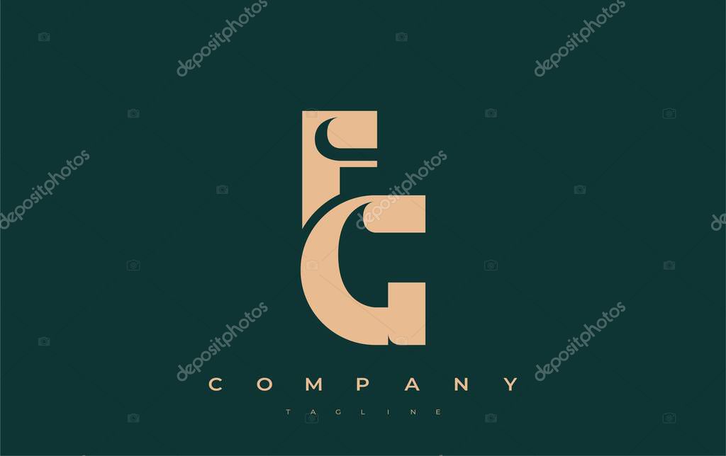 FG Abstract Geometric Logo Design. Modern and elegant logo design with simplistic typography elements, showcasing branding excellence.