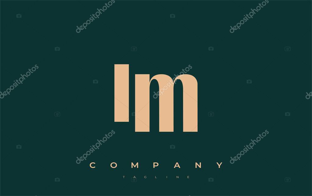 IM Abstract Geometric Logo Design. Modern and elegant logo design with simplistic typography elements, showcasing branding excellence.