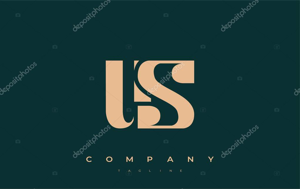 US Abstract Geometric Logo Design. Modern and elegant logo design with simplistic typography elements, showcasing branding excellence.