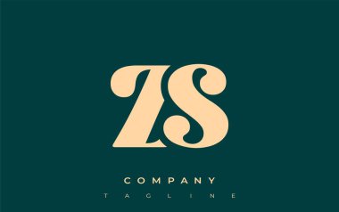 ZS Yaratıcı Soyut Tipografi Logosu Tasarımı. Cesur tipografi ve yaratıcı şekilleri birleştiren zarif logo, markalaşma ve kimlik çözümleri için ideal.