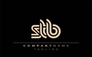 STB Yaratıcı Eşsiz Modern Harf Logosu Tasarımı. Benzersiz bir harf dizaynına sahip stilize logo, soyut minimalist estetik ve modern cazibe sunar.