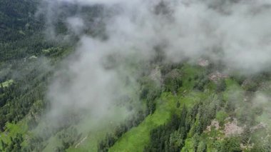 Güneşli bir yaz gününde, Doğu Kazakistan 'ın yemyeşil dağları üzerinde bulutlar arasında destansı bir insansız hava aracı uçuşu. Saf doğa, özgürlük ve yukarıdan gelen ilham.