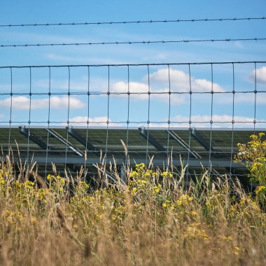 Ağaçlar ve mavi gökyüzünün bulunduğu bir kırsal alanda, fotovoltaik panellerden oluşan büyük bir güneş enerjisi çiftliği. Koyunlar bölgeyi otlatıyor. Enerji üretimi doğayla uyum içinde..