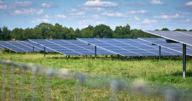 a large solar energy farm featuring rows of photovoltaic panels solar energy farm in full sunlight in a rural area with trees and blue skies. Renewable energy production in harmony with nature. clipart