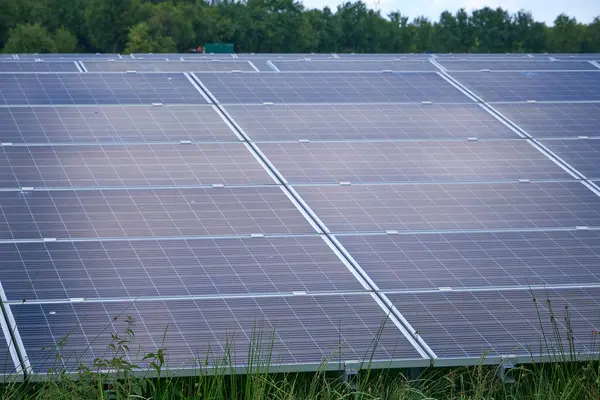 Ağaçlar ve mavi gökyüzü olan kırsal bir alanda güneş enerjisi çiftliğinde güneş enerjisi çiftliği ve fotovoltaik paneller içeren büyük bir güneş enerjisi çiftliği. Doğayla uyum içinde yenilenebilir enerji üretimi.