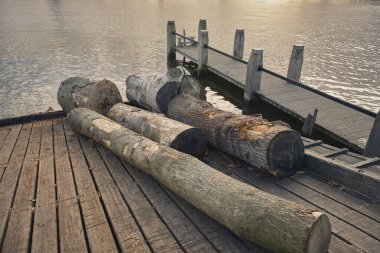 Some big tree logs ready to be sawed in front of the sawmill Het Jonge Schaap on the Zaanse Schans in Zaandam, the Netherlands. clipart