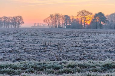 Hollanda 'nın Echten köyü yakınlarında sakin bir kış sabahı, doğan güneşin buz gibi manzaranın üzerine sıcak bir parıltı saçtığı yer. Ön plandaki alan, soğuk atmosferi vurgulayan ince bir buz tabakasıyla kaplıdır.. 