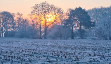 Hollanda 'nın Echten köyünde sakin bir kış sabahı, doğan güneşin buz gibi manzaranın üzerine sıcak bir parıltı saçtığı yerde. Ağustosla kaplanmış ağaçlar, gökyüzünün yumuşak pastel renklerine karşı dururlar. Ön plandaki alan kaplanmış.