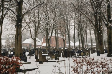 A peaceful cemetery in Rolde, Netherlands, covered in fresh snow, with an old church and bare trees in the background on a quiet winter day. clipart