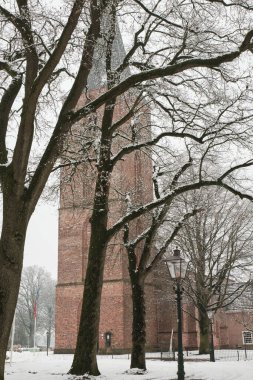 Hollanda Rolde 'de uzun bir çan kulesi olan tarihi bir tuğla kilise bulutlu bir günde karla kaplı çıplak kış ağaçlarının arasından görülüyor..