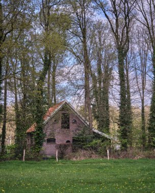 Drenthe, Netherlands: A historic brick barn with a red roof, partially covered in ivy, standing in a green meadow surrounded by trees. clipart