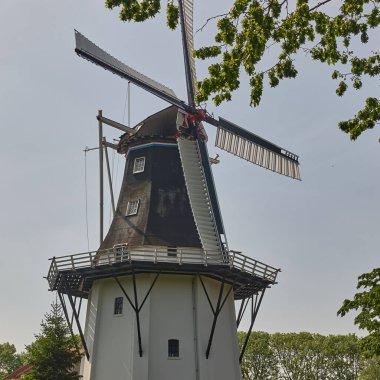 25 Haziran 2023 - Hollanda, Groningen: Geleneksel Hollanda yel değirmeni Wilhelmina, tarihi bir mısır değirmeni, açık bir gökyüzünün altında kentin kenarında duruyor..