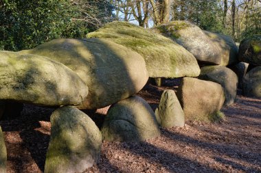 2 Mart 2025 - Borger, Hollanda: Hunebed D27, Hollanda 'nın en büyük tarih öncesi bebeği, Borger' deki Hunebedcentrum yakınlarında yer almaktadır..