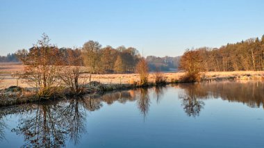 Almanya 'daki sakin bir değirmen göleti ağaçları ve soğuk manzarayı yansıtır. Sakin su ve yumuşak sabah ışığı huzurlu bir kır manzarası yaratır..