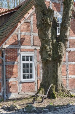 Tarihi yarı ahşap kulübe, döküntü kiremitli çatı, kaldırım taşı yol, önünde büyük meşe ağacı, ve eski saban.