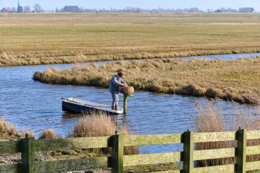 5 Mart 2025 - Warga-Hollanda: Küçük botlu bir adam, Frizya kırsal kesimindeki geleneksel yaban hayatı yönetiminin bir parçası olan hendekteki bir direğe el yapımı ördek yuvası kurdu.