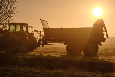 Traktör sabah sisi içinde Wormer, Low Holland 'ın düzlüklerinde yükselen güneşle siluetlendi. Altın bir tarım arazisi sabahın erken saatlerinde yıkandı..