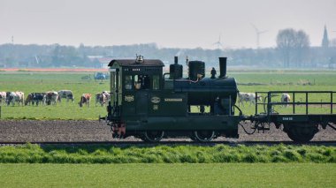 15 Nisan 2025 Oostwoud, Hollanda: Tarihsel buhar treni Hoorn-Medemblik, Hollanda mirası ve bahar güzelliği sergilenen renkli yeşil tarlalardan geçer.