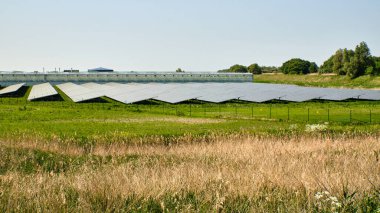 Krabbendijke, Zeeland: Ticari bir seranın yanındaki güneş panelleri, Hollanda kırsal kesiminde tarım ve yenilenebilir enerjinin entegrasyonunu vurguluyor.
