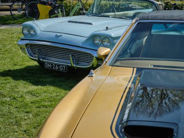 20 Nisan 2025 Limmen - Hollanda: Hollanda 'nın Limmen kentinde düzenlenen Bloemendagen (Çiçek Günleri) festivalinde açık mavi Ford Thunderbird sergilendi.