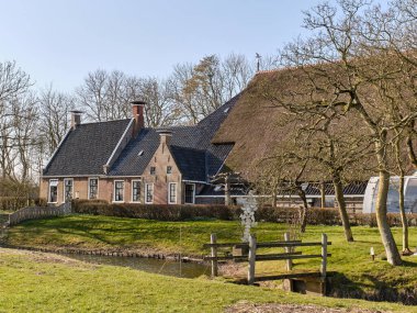 8 Mart 2025 - Ropta-Hollanda: Güneşli bir bahar gününde huzurlu bir Hollanda kırsalında büyük sazdan yapılmış çatı ambarı olan tipik bir Frizya 