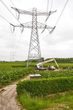 15 Mayıs 2025 - Zuid-Beveland-Hollanda: Bulutlu bir gökyüzünün altındaki meyve bahçesinde bir kaldırma kamyonuyla Tennet yüksek voltajlı elektrik hattının bakım çalışmaları.