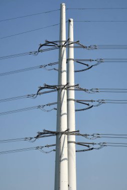 2 Mayıs 2025 - Rilland-Hollanda: Hollanda 'nın yenilenebilir enerji geçişini destekleyen yeni enerji şebekesinin bir parçası olan Zeeland' de modern TenneT Wintrack yüksek voltaj direği.