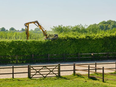 13 Mayıs 2025 - Zuid-Beveland-Hollanda: Bir çit budama makinesi güneşli bir günde uzun bahçe çitlerinin tepesini keser, meyve çiftliği sınırlarını düzenli ve bakımlı tutar.