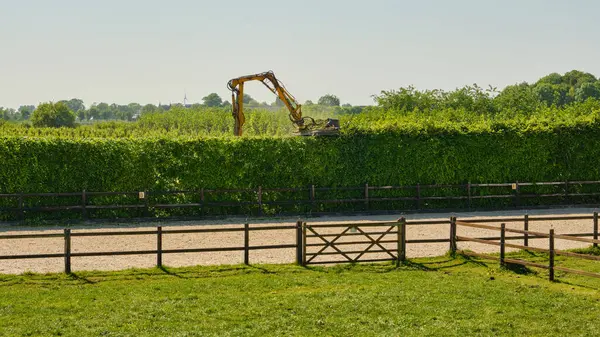 13 Mayıs 2025 - Zuid-Beveland-Hollanda: Bir çit budama makinesi güneşli bir günde uzun bahçe çitlerinin tepesini keser, meyve çiftliği sınırlarını düzenli ve bakımlı tutar.