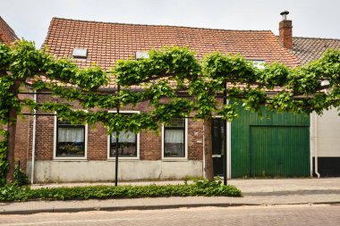 14 Mayıs 2025 - Oudelande-Hollanda: Büyük yeşil ahır kapısı ve Oudelande, Zuid-Beveland kırsalındaki ıhlamur ağaçlarıyla geleneksel Zeeland köy evi.