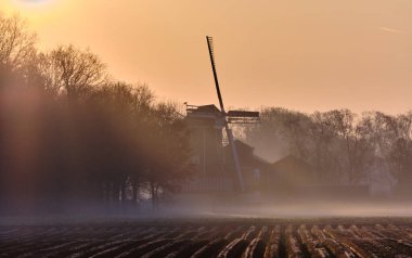 Hollanda: Geleneksel Hollanda yel değirmeni Meenkmolen, Achterhoek kırsalındaki saban tarlasının üzerindeki güneş ışınlarıyla altın sabah sisinin içinde..
