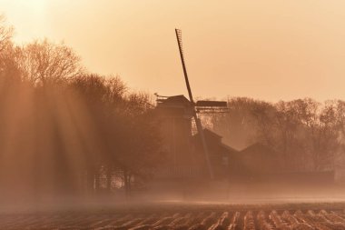 Hollanda: Geleneksel Hollanda yel değirmeni Meenkmolen, Achterhoek kırsalındaki saban tarlasının üzerindeki güneş ışınlarıyla altın sabah sisinin içinde..
