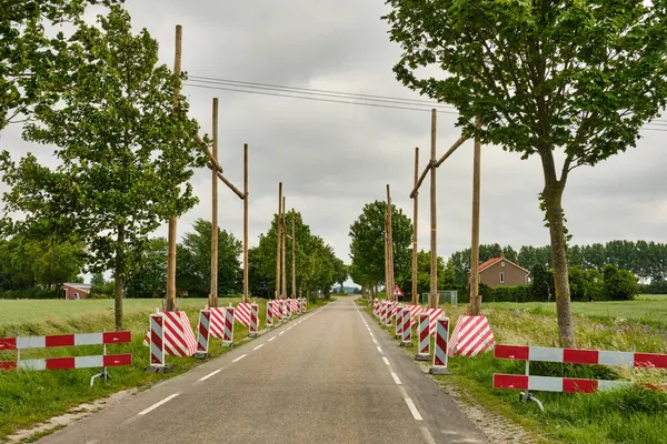 29 Mayıs 2025 - Zuid-Beveland-Hollanda: Tarım arazisi üzerinden Tennet yüksek voltaj hattı kurulumu sırasında geçici ahşap çerçeveler trafiği korur.