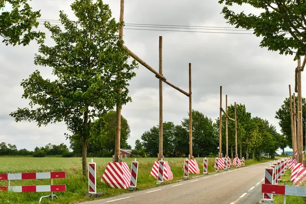 29 Mayıs 2025 - Zuid-Beveland-Hollanda: Tarım arazisi üzerinden Tennet yüksek voltaj hattı kurulumu sırasında geçici ahşap çerçeveler trafiği korur.