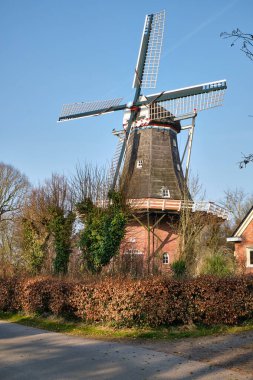 9 Mart 2025 - Pieterburen-Hollanda: 1840 Pieterburen 'de bulunan tarihi Hollanda yel değirmeni De Vier Winden, dört yelkenli ve sahneli bir kule değirmeni, açık mavi gökyüzü altında güneş ışığında duruyor.