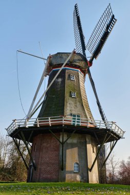 9 Mart 2025 - Pieterburen-Hollanda: 1840 Pieterburen 'de bulunan tarihi Hollanda yel değirmeni De Vier Winden, dört yelkenli ve sahneli bir kule değirmeni, bahar çiçekleriyle dolu bir çayırda güneş ışığında duruyor..