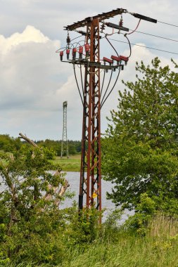 Almanya: Kırmızı seramik yalıtkan ve elektrik kablolarına sahip paslanmış metal elektrik direği, Kullanım Adası 'ndaki suyun yakınındaki yeşil bitki örtüsünde duruyor.