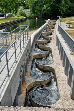 23 Haziran 2025 - Neubrandenburg-Almanya: Bir barajın yanındaki eğri beton merdiven, balıkların su seviyesi farkını aşmasına olanak sağlıyor. Yeşil nehir kenarındaki modern altyapı.
