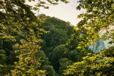 8 Temmuz 2025 - Jasmund Ulusal Parkı-Almanya: Rugen Adası 'ndaki Baltık Denizi kıyısı ve yeşil kayın ormanının üzerindeki ünlü Kings Chair Chair uçurum manzaralı turistler.