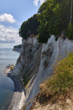 Almanya Rugen Adası 'ndaki Koenigsstuhl yakınlarında beyaz tebeşir kayalıkları. Baltık Denizi, sıcak bir yaz gökyüzü altında Jasmund Ulusal Parkı 'nda kuğularla dolu..