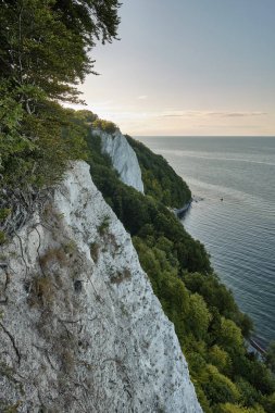 Almanya Rugen Adası 'ndaki Knigsstuhl yakınlarında beyaz tebeşir kayalıkları. Orman kıyıları, ılık bir yaz gökyüzünün altında, plajda turist banyosu yapan Baltık Denizi ile buluşuyor.