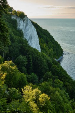 Jasmund Ulusal Parkı-Almanya: Rugen Adası 'ndaki Baltık Denizi kıyısı ve yeşil kayın ormanı üzerindeki ünlü Kings Chair Chair uçurum manzaralı turistler.