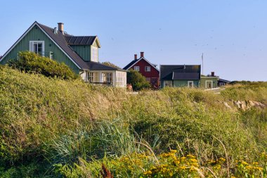 Lerhamn, İsveç; 13 Ağustos 2025: Pastel yeşili İskandinav kıyı evleri ve sıcak akşam ışığında gökyüzünde bir sürü kuş.