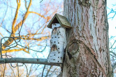 A rustic birdhouse crafted from birch bark sits on a tree, illuminated by soft winter sunlight filtering through branches. clipart