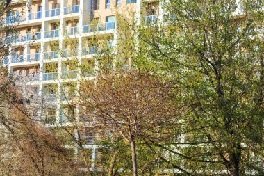 İkamet Alanında Yeni Tomurcuklanan Ağaçlarla Çağdaş Apartman Binalarına Karşı Kentsel Bahar Manzarası