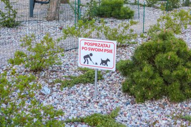Akdeniz 'deki küçük kozalaklı ağaçlı kayalık yamaçta köpek varlığı uyarısı.