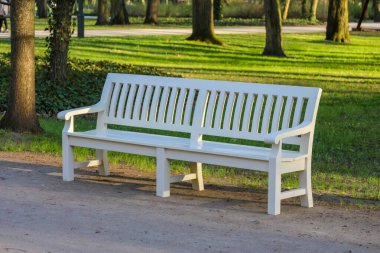 Yeşil baharda çimenlikte beyaz ahşap park bankında ağaçlar halk bahçesinde huzurlu bir dinlenme yeri sağlıyor.