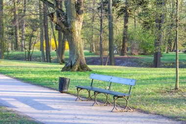 Etrafı Bahar Ağaçlarıyla çevrili Boş Yol Kenarlı Huzur Parkı Sahnesi